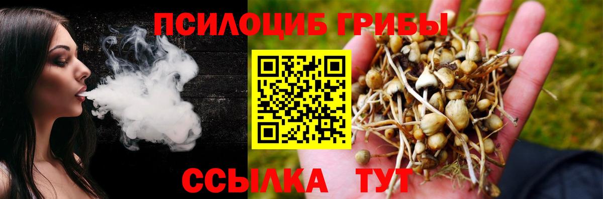 Коряжма  Галлюциногенные грибы ЛСД  Вход с VPN 